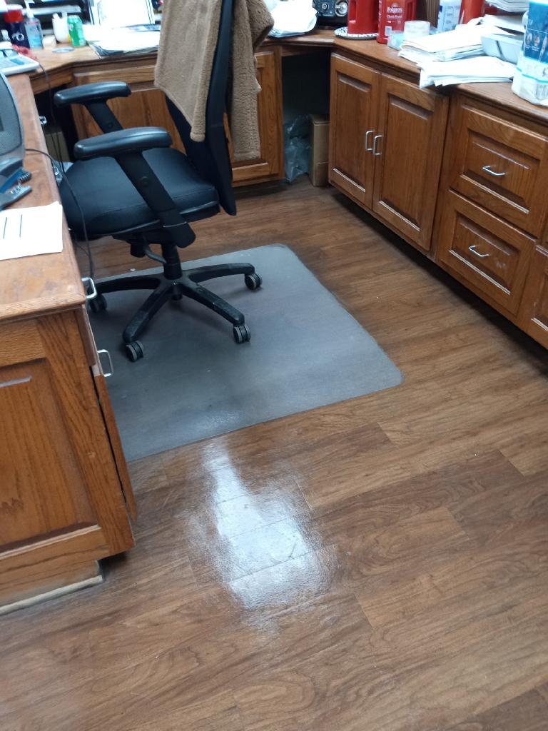 IMG_20231123_090153124